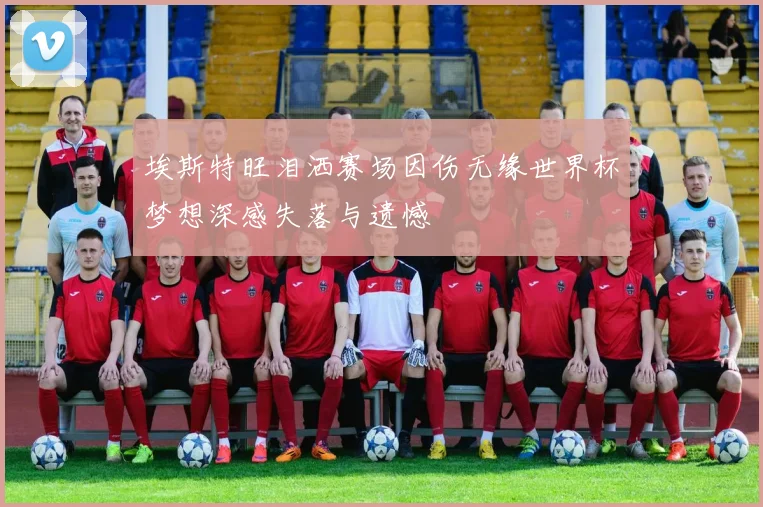埃斯特旺泪洒赛场因伤无缘世界杯梦想深感失落与遗憾